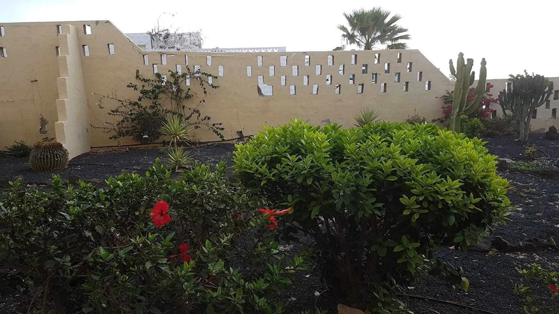Moderne Ferienwohnung Casavovo Mit Terrasse Costa Calma Lägenhet